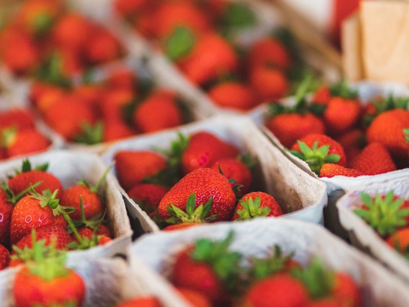 Gundekildegård Credits Nikolaj Danielsen VisitNordsjælland (29)