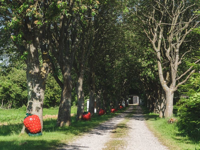 Gundekildegård Credits Nikolaj Danielsen VisitNordsjælland (1)