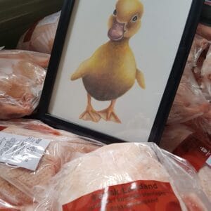 Juleand 2025 - hent juleanden på Rokkedyssegaard - depositum